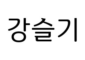 KPOP Red Velvet(레드벨벳、レッド・ベルベット) 슬기 (スルギ) プリント用応援ボード型紙、うちわ型紙　韓国語/ハングル文字型紙 通常