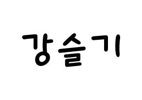 KPOP Red Velvet(레드벨벳、レッド・ベルベット) 슬기 (スルギ) 名前 応援ボード 作り方 通常