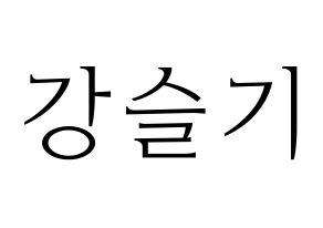 KPOP Red Velvet(레드벨벳、レッド・ベルベット) 슬기 (スルギ) 応援ボード・うちわ　韓国語/ハングル文字型紙 通常