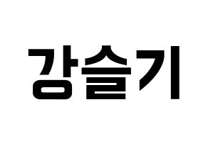KPOP Red Velvet(레드벨벳、レッド・ベルベット) 슬기 (スルギ) k-pop アイドル名前 ファンサボード 型紙 通常