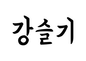 KPOP Red Velvet(레드벨벳、レッド・ベルベット) 슬기 (カン・スルギ, スルギ) k-pop アイドル名前　ボード 言葉 通常