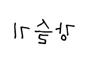 KPOP Red Velvet(레드벨벳、レッド・ベルベット) 슬기 (スルギ) 名前 応援ボード 作り方 左右反転