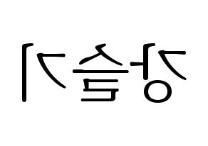 KPOP Red Velvet(레드벨벳、レッド・ベルベット) 슬기 (スルギ) 応援ボード・うちわ　韓国語/ハングル文字型紙 左右反転