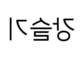 KPOP Red Velvet(레드벨벳、レッド・ベルベット) 슬기 (スルギ) コンサート用　応援ボード・うちわ　韓国語/ハングル文字型紙 左右反転