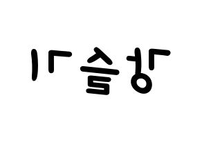 KPOP Red Velvet(레드벨벳、レッド・ベルベット) 슬기 (スルギ) 名前 応援ボード 作り方 左右反転