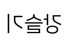 KPOP Red Velvet(레드벨벳、レッド・ベルベット) 슬기 (スルギ) プリント用応援ボード型紙、うちわ型紙　韓国語/ハングル文字型紙 左右反転