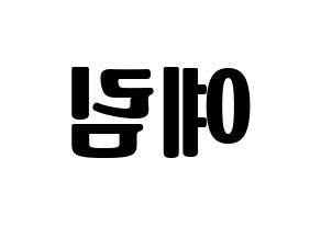 KPOP Red Velvet(레드벨벳、レッド・ベルベット) 예리 (イェリ) コンサート用　応援ボード・うちわ　韓国語/ハングル文字型紙 左右反転