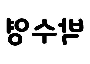 KPOP Red Velvet(레드벨벳、レッド・ベルベット) 조이 (ジョイ) 応援ボード・うちわ　韓国語/ハングル文字型紙 左右反転