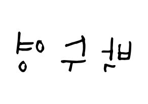 KPOP Red Velvet(레드벨벳、レッド・ベルベット) 조이 (パク・スヨン, ジョイ) 無料サイン会用、イベント会用応援ボード型紙 左右反転