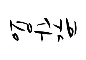 KPOP Red Velvet(레드벨벳、レッド・ベルベット) 조이 (ジョイ) k-pop 応援ボード メッセージ 型紙 左右反転