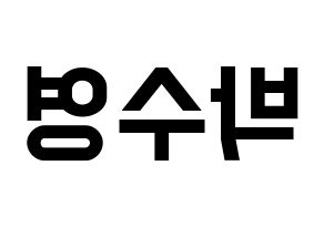 KPOP Red Velvet(레드벨벳、レッド・ベルベット) 조이 (ジョイ) 名前 応援ボード 作り方 左右反転