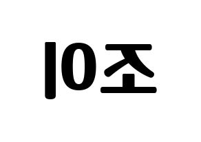 KPOP Red Velvet(레드벨벳、レッド・ベルベット) 조이 (ジョイ) コンサート用　応援ボード・うちわ　韓国語/ハングル文字型紙 左右反転