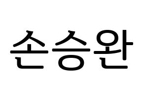 KPOP Red Velvet(레드벨벳、レッド・ベルベット) 웬디 (ウェンディ) プリント用応援ボード型紙、うちわ型紙　韓国語/ハングル文字型紙 通常