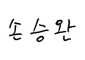 KPOP Red Velvet(레드벨벳、レッド・ベルベット) 웬디 (ソン・スンワン, ウェンディ) k-pop アイドル名前　ボード 言葉 通常