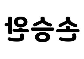 KPOP Red Velvet(레드벨벳、レッド・ベルベット) 웬디 (ウェンディ) 応援ボード・うちわ　韓国語/ハングル文字型紙 左右反転