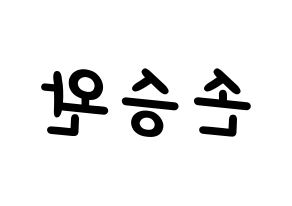 KPOP Red Velvet(레드벨벳、レッド・ベルベット) 웬디 (ウェンディ) 名前 応援ボード 作り方 左右反転