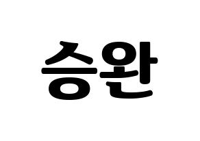 KPOP Red Velvet(레드벨벳、レッド・ベルベット) 웬디 (ウェンディ) コンサート用　応援ボード・うちわ　韓国語/ハングル文字型紙 通常