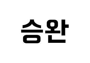KPOP Red Velvet(레드벨벳、レッド・ベルベット) 웬디 (ウェンディ) k-pop アイドル名前 ファンサボード 型紙 通常