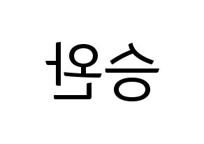 KPOP Red Velvet(레드벨벳、レッド・ベルベット) 웬디 (ウェンディ) コンサート用　応援ボード・うちわ　韓国語/ハングル文字型紙 左右反転