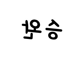 KPOP Red Velvet(레드벨벳、レッド・ベルベット) 웬디 (ウェンディ) 名前 応援ボード 作り方 左右反転