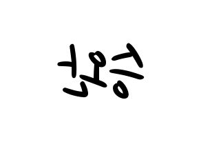 KPOP Red Velvet(레드벨벳、レッド・ベルベット) 웬디 (ウェンディ) 応援ボード ハングル 型紙  左右反転