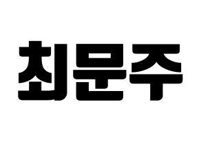 KPOP S.I.S(에스아이에스、エスアイエス) 가을 (ガウル) コンサート用　応援ボード・うちわ　韓国語/ハングル文字型紙 通常
