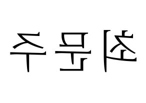 KPOP S.I.S(에스아이에스、エスアイエス) 가을 (ガウル) 応援ボード・うちわ　韓国語/ハングル文字型紙 左右反転