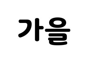 KPOP S.I.S(에스아이에스、エスアイエス) 가을 (ガウル) 応援ボード・うちわ　韓国語/ハングル文字型紙 通常