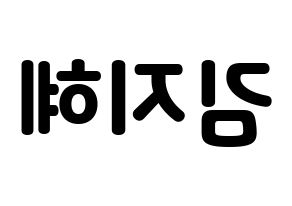 KPOP S.I.S(에스아이에스、エスアイエス) 지해 (ジヘ) 応援ボード・うちわ　韓国語/ハングル文字型紙 左右反転