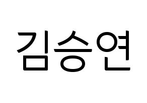 KPOP S.I.S(에스아이에스、エスアイエス) 앤 (エン) コンサート用　応援ボード・うちわ　韓国語/ハングル文字型紙 通常