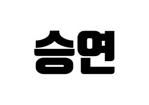KPOP S.I.S(에스아이에스、エスアイエス) 앤 (エン) コンサート用　応援ボード・うちわ　韓国語/ハングル文字型紙 通常