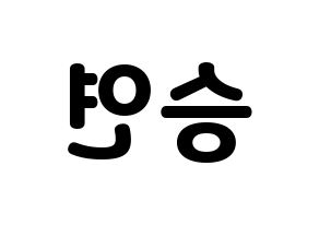 KPOP S.I.S(에스아이에스、エスアイエス) 앤 (エン) 応援ボード・うちわ　韓国語/ハングル文字型紙 左右反転
