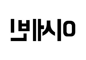 KPOP S.I.S(에스아이에스、エスアイエス) 세빈 (セビン) k-pop アイドル名前 ファンサボード 型紙 左右反転