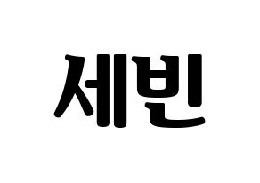 KPOP S.I.S(에스아이에스、エスアイエス) 세빈 (セビン) コンサート用　応援ボード・うちわ　韓国語/ハングル文字型紙 通常