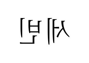 KPOP S.I.S(에스아이에스、エスアイエス) 세빈 (セビン) 応援ボード・うちわ　韓国語/ハングル文字型紙 左右反転