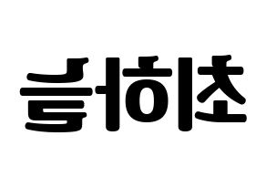 KPOP SATURDAY(새러데이、サタデー) 하늘 (ハヌル) コンサート用　応援ボード・うちわ　韓国語/ハングル文字型紙 左右反転