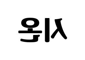 KPOP SATURDAY(새러데이、サタデー) 시온 (シオン) コンサート用　応援ボード・うちわ　韓国語/ハングル文字型紙 左右反転