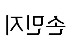 KPOP SATURDAY(새러데이、サタデー) 아연 (アヨン) プリント用応援ボード型紙、うちわ型紙　韓国語/ハングル文字型紙 左右反転