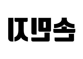 KPOP SATURDAY(새러데이、サタデー) 아연 (アヨン) コンサート用　応援ボード・うちわ　韓国語/ハングル文字型紙 左右反転