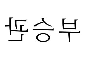 KPOP SEVENTEEN(세븐틴、セブンティーン) 승관 (スングァン) 応援ボード・うちわ　韓国語/ハングル文字型紙 左右反転