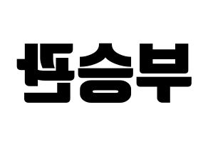 KPOP SEVENTEEN(세븐틴、セブンティーン) 승관 (スングァン) コンサート用　応援ボード・うちわ　韓国語/ハングル文字型紙 左右反転