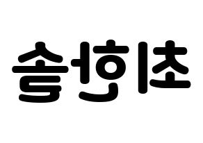 KPOP SEVENTEEN(세븐틴、セブンティーン) 버논 (バーノン) 応援ボード・うちわ　韓国語/ハングル文字型紙 左右反転