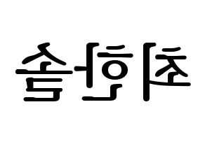 KPOP SEVENTEEN(세븐틴、セブンティーン) 버논 (バーノン) プリント用応援ボード型紙、うちわ型紙　韓国語/ハングル文字型紙 左右反転