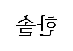 KPOP SEVENTEEN(세븐틴、セブンティーン) 버논 (バーノン) 応援ボード・うちわ　韓国語/ハングル文字型紙 左右反転