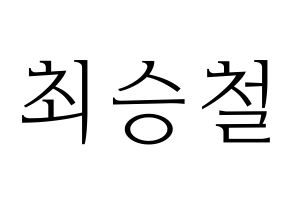 KPOP SEVENTEEN(세븐틴、セブンティーン) 에스쿱스 (エスクプス) 応援ボード・うちわ　韓国語/ハングル文字型紙 通常