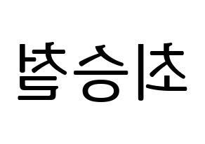 KPOP SEVENTEEN(세븐틴、セブンティーン) 에스쿱스 (エスクプス) プリント用応援ボード型紙、うちわ型紙　韓国語/ハングル文字型紙 左右反転
