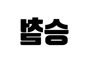 KPOP SEVENTEEN(세븐틴、セブンティーン) 에스쿱스 (エスクプス) コンサート用　応援ボード・うちわ　韓国語/ハングル文字型紙 左右反転