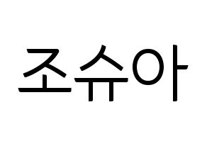 KPOP SEVENTEEN(세븐틴、セブンティーン) 조슈아 (ジョシュア) コンサート用　応援ボード・うちわ　韓国語/ハングル文字型紙 通常