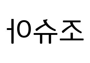 KPOP SEVENTEEN(세븐틴、セブンティーン) 조슈아 (ジョシュア) プリント用応援ボード型紙、うちわ型紙　韓国語/ハングル文字型紙 左右反転