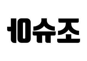 KPOP SEVENTEEN(세븐틴、セブンティーン) 조슈아 (ジョシュア) コンサート用　応援ボード・うちわ　韓国語/ハングル文字型紙 左右反転